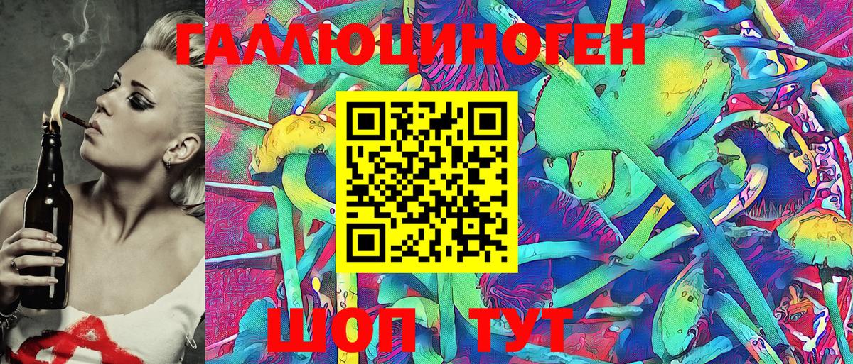 Псилоцибиновые грибы MAGIC MUSHROOMS  Вход с VPN  Тверь  Галлюциногенные грибы прущие грибы 