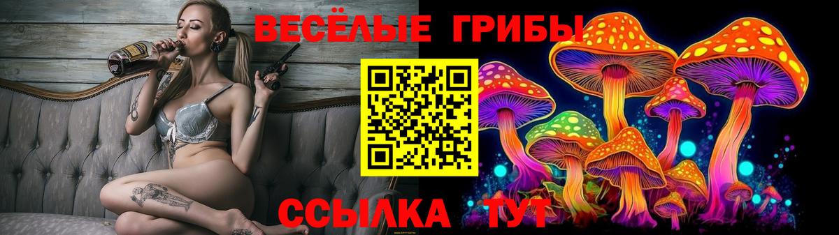 Псилоцибиновые грибы мицелий Тверь